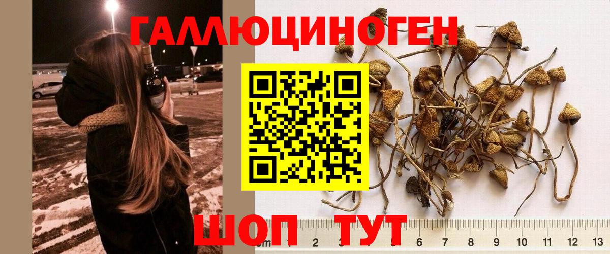 Рассказово  Галлюциногенные грибы Magic Shrooms  Галлюциногенные грибы GOLDEN TEACHER  Вход с VPN 